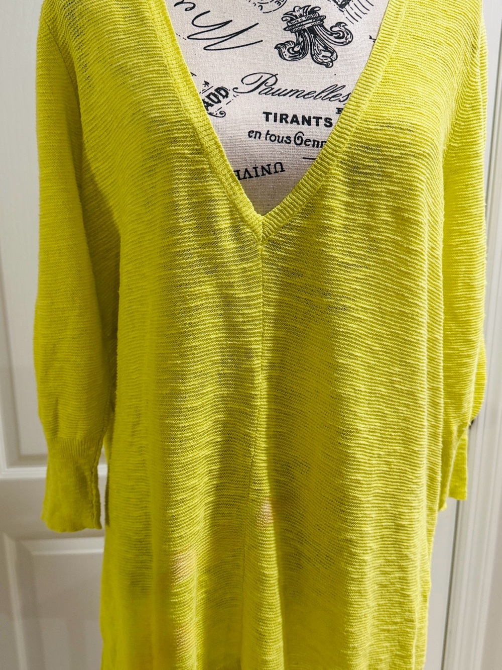 Eileen Fisher V-Neck Sweater in Honeydew color